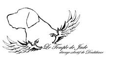 http://templedejade.chiens-de-france.com/chien-arret-allemand-a-poil-dur.html