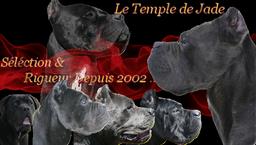 http://le-temple-de-jade.com/introduction/index.html