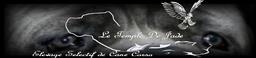 http://templedejade.chiens-de-france.com/cane-corso.html