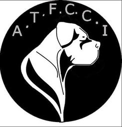 Page A.T.F.C.C.I...