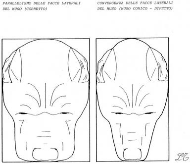 Cliquez pour agrandir l'image Cliquez pour agrandir l'image