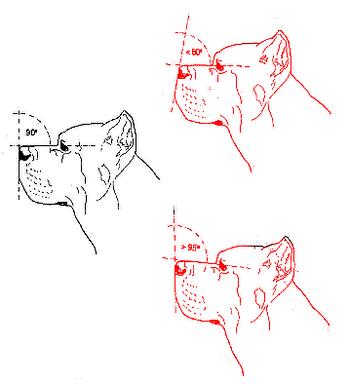 Cliquez pour agrandir l'image Cliquez pour agrandir l'image