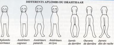 Cliquez pour agrandir l'image Cliquez pour agrandir l'image