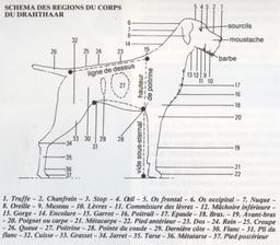 Cliquez pour agrandir l'image Cliquez pour agrandir l'image